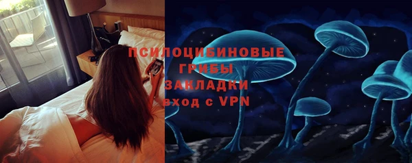 ешки Алзамай