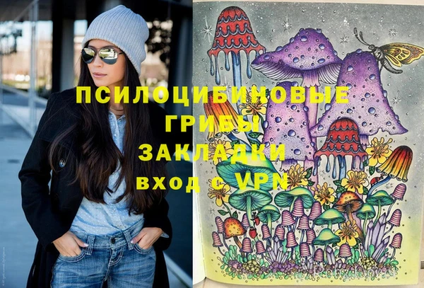 ешки Алзамай
