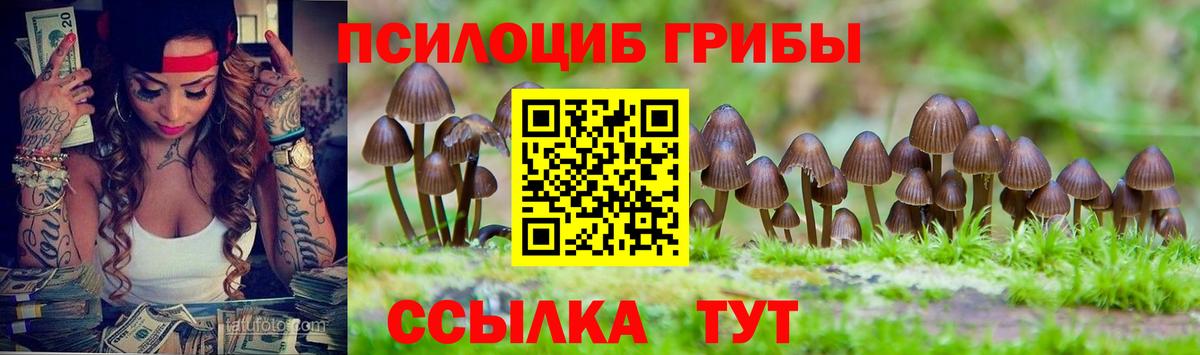 Псилоцибиновые грибы мухоморы  Вход с VPN  Протвино 
